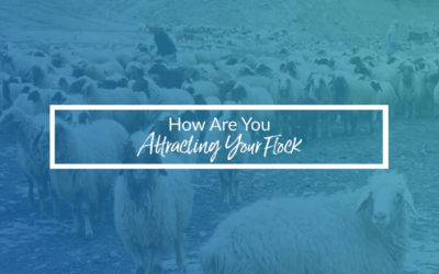 How Are You Attracting Your Flock?