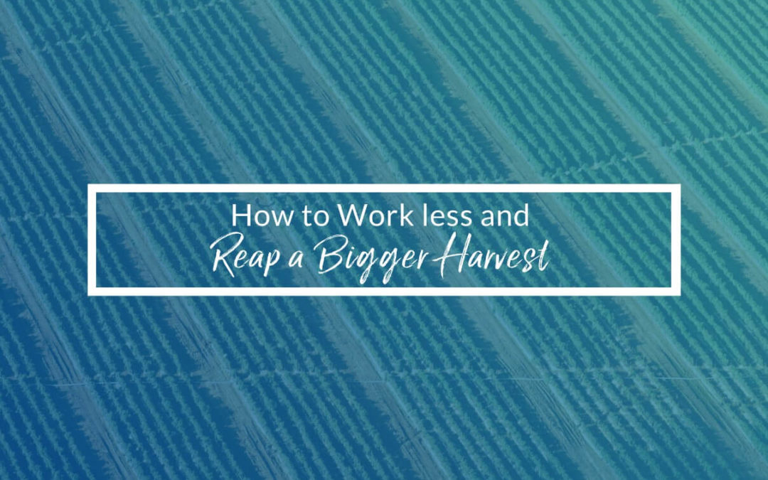 How To Work Less And Reap A Bigger Harvest