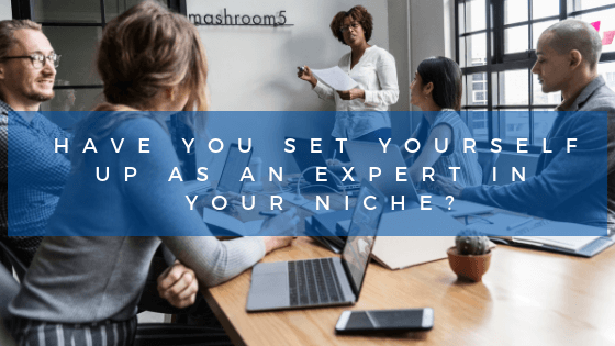 Have you set yourself up as an expert business in your niche?