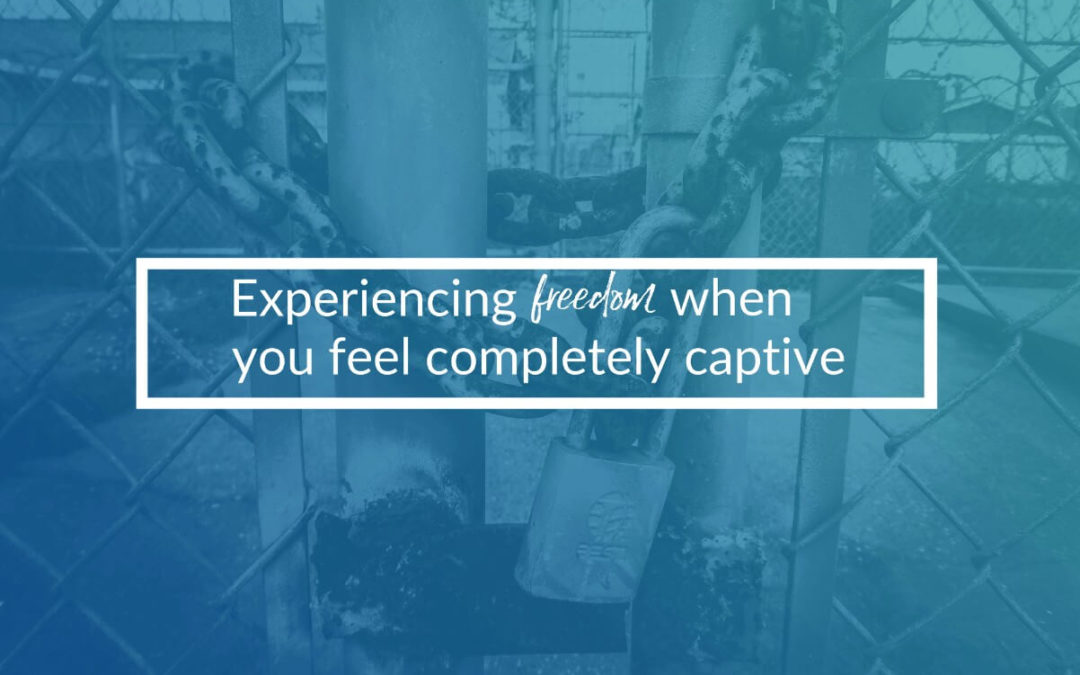 Experience Freedom When You Feel Completely Captive