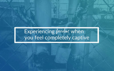 Experience Freedom When You Feel Completely Captive